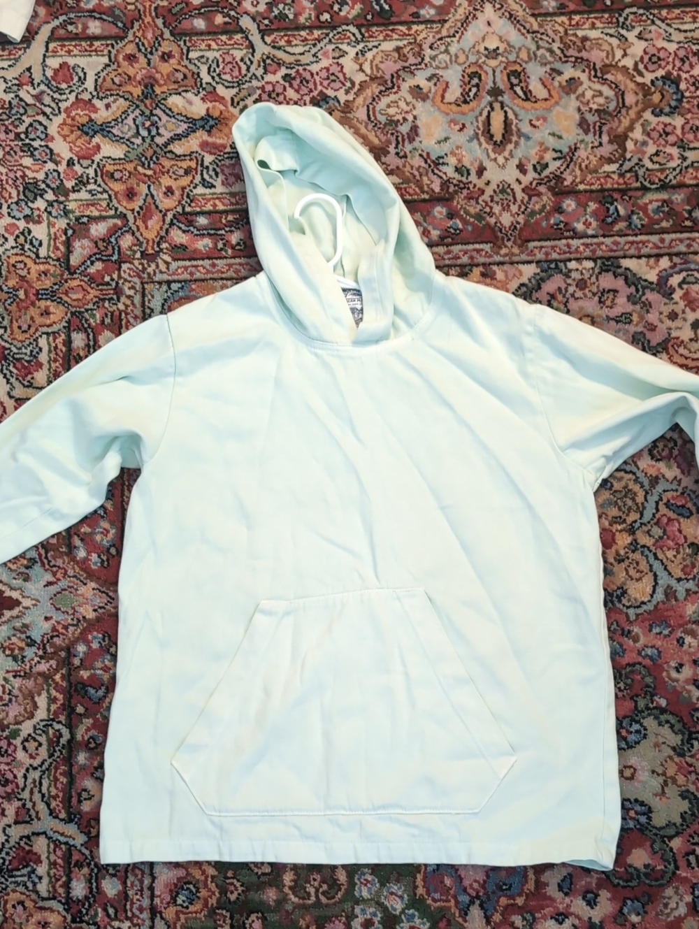 Jungmaven Light Mint Hoodie Sweatshirt